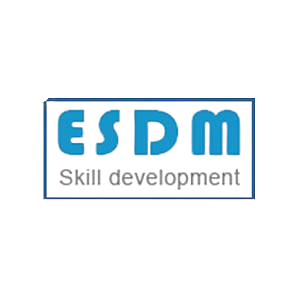 ESDM